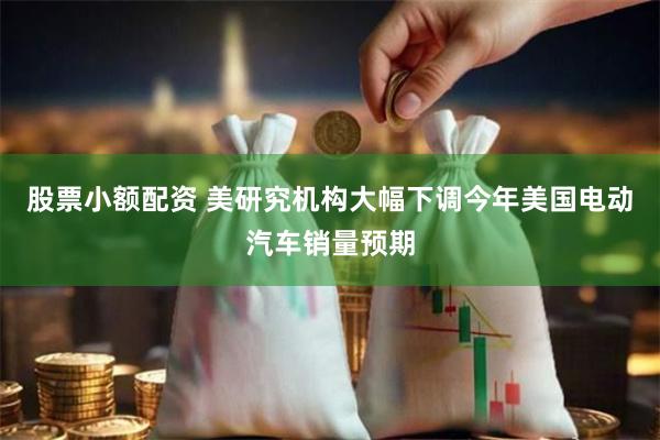 股票小额配资 美研究机构大幅下调今年美国电动汽车销量预期