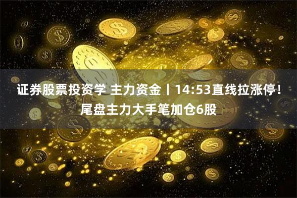 证券股票投资学 主力资金丨14:53直线拉涨停！尾盘主力大手笔加仓6股