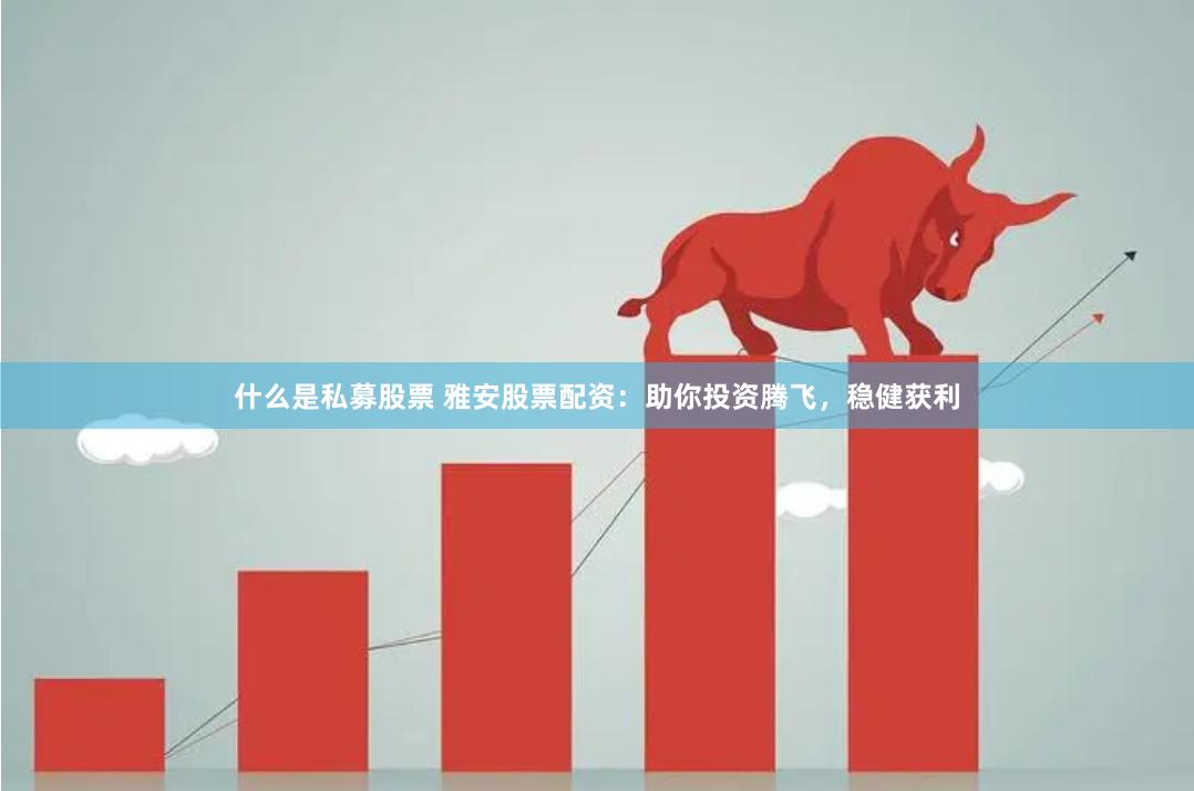 什么是私募股票 雅安股票配资：助你投资腾飞，稳健获利